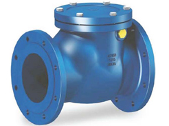 Swing Check Valve